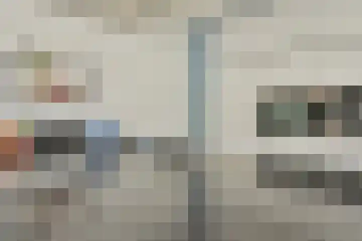 Grijze Snip 7 Emmen thumbnail 29