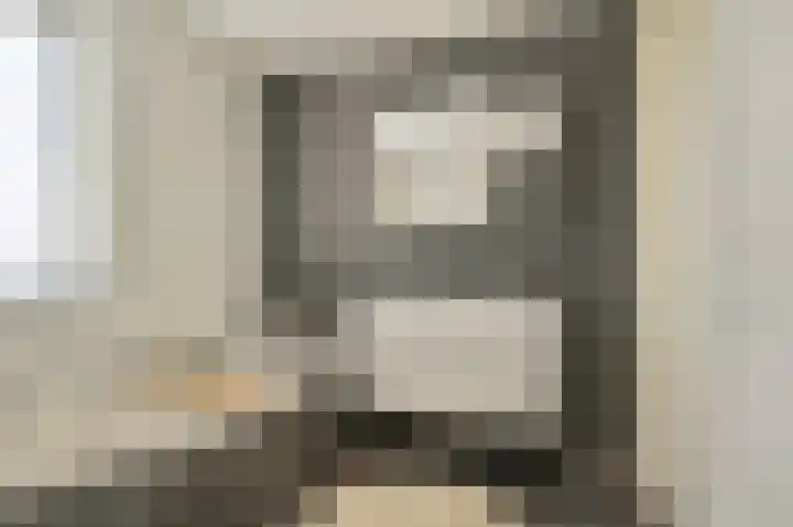 Grijze Snip 7 Emmen foto 3