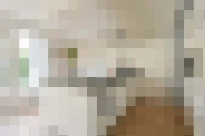 Grijze Snip 7 Emmen thumbnail 30