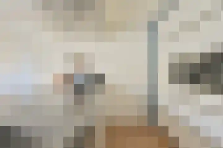 Grijze Snip 7 Emmen thumbnail 31