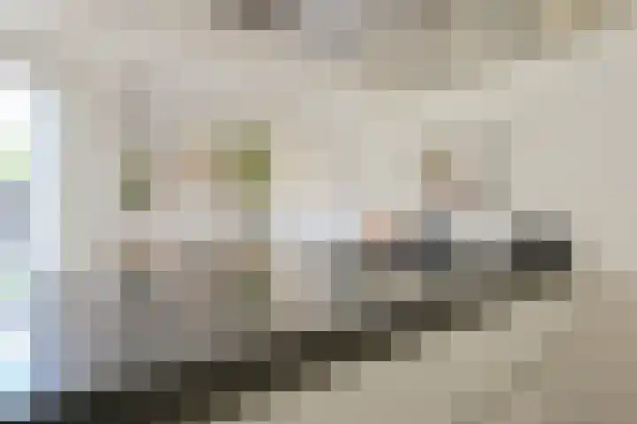 Grijze Snip 7 Emmen thumbnail 32