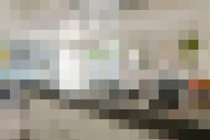 Grijze Snip 7 Emmen thumbnail 33