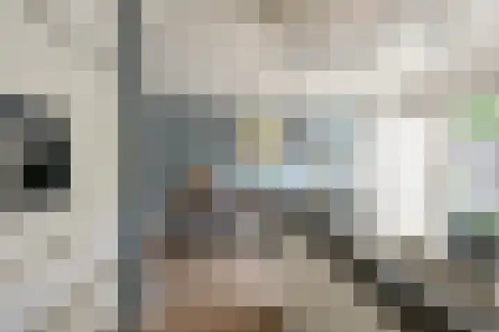 Grijze Snip 7 Emmen thumbnail 34