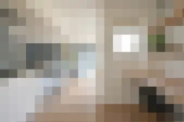 Grijze Snip 7 Emmen thumbnail 35