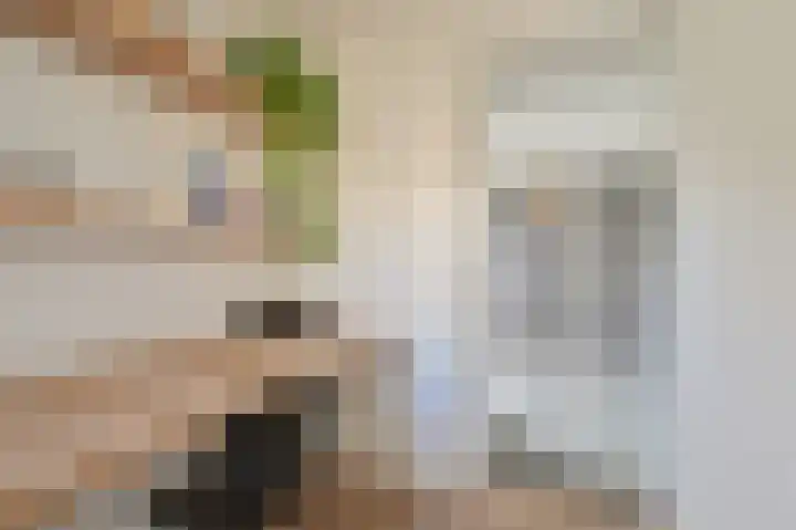 Grijze Snip 7 Emmen thumbnail 36