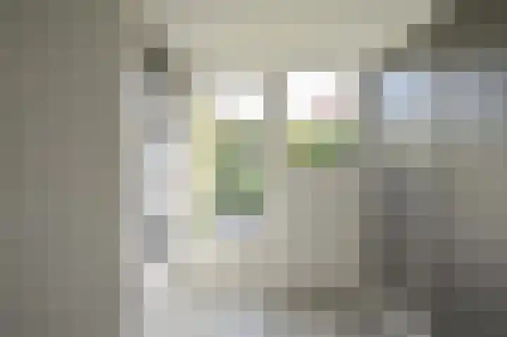 Grijze Snip 7 Emmen thumbnail 38