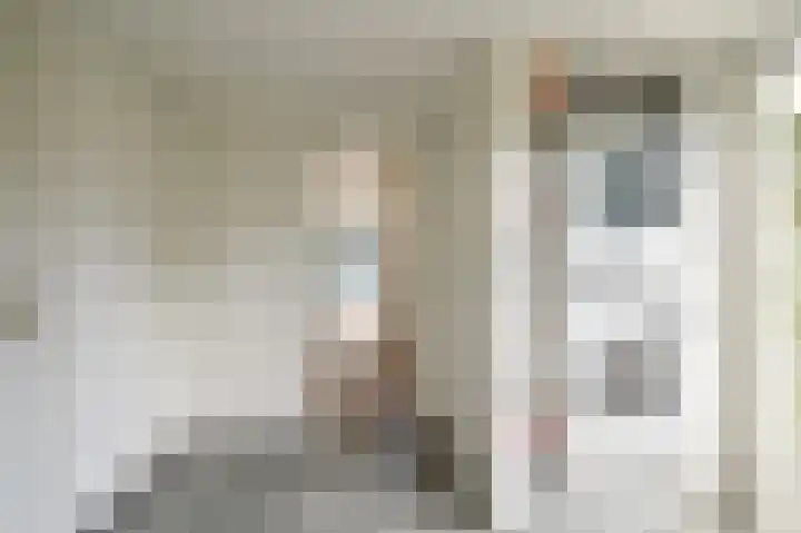 Grijze Snip 7 Emmen thumbnail 39