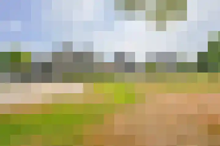 Grijze Snip 7 Emmen thumbnail 4