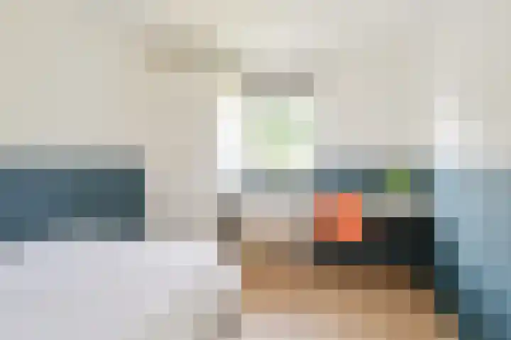 Grijze Snip 7 Emmen thumbnail 44