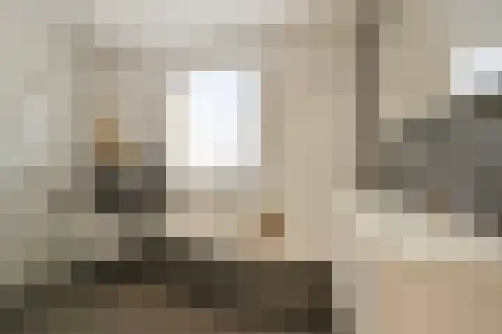Grijze Snip 7 Emmen thumbnail 49