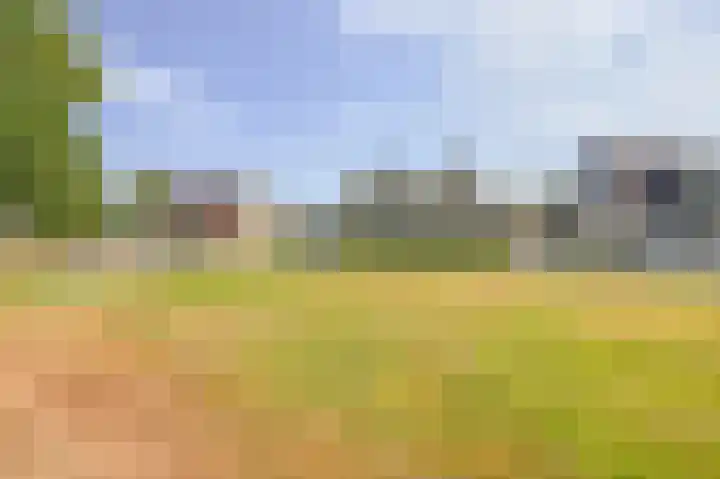 Grijze Snip 7 Emmen thumbnail 5