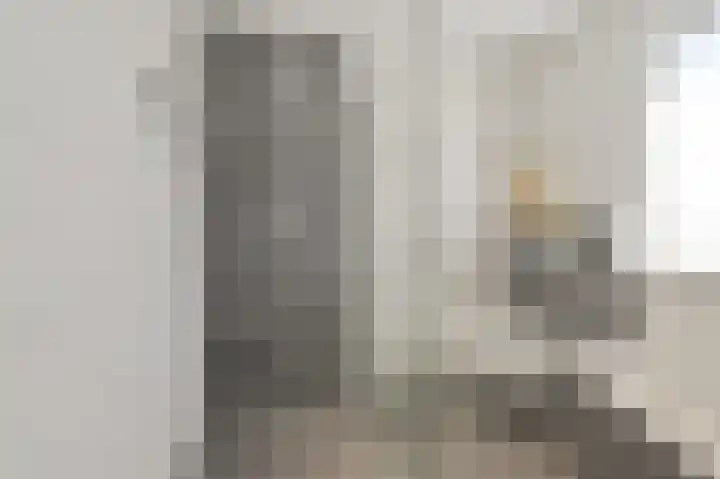 Grijze Snip 7 Emmen thumbnail 51