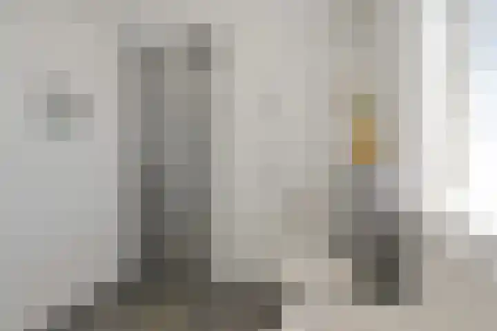Grijze Snip 7 Emmen thumbnail 53