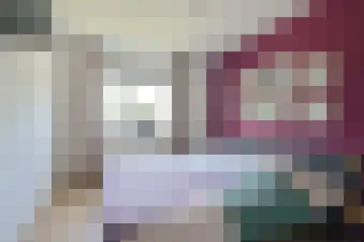 Grijze Snip 7 Emmen thumbnail 55