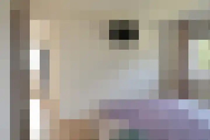 Grijze Snip 7 Emmen thumbnail 57