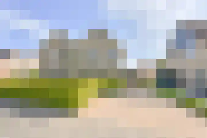 Grijze Snip 7 Emmen thumbnail 6