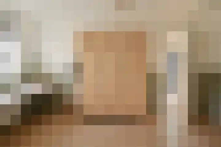 Grijze Snip 7 Emmen thumbnail 61