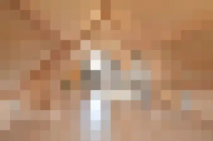 Grijze Snip 7 Emmen thumbnail 64