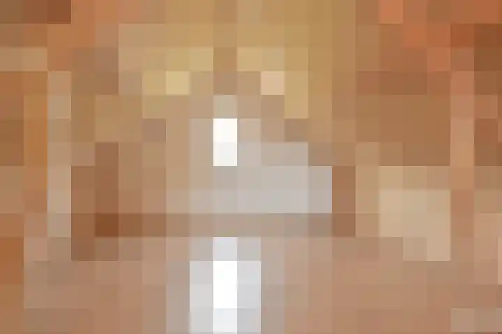 Grijze Snip 7 Emmen thumbnail 66