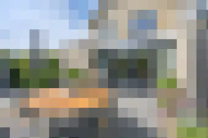 Grijze Snip 7 Emmen thumbnail 68