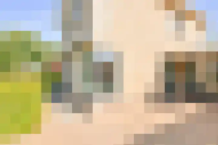 Grijze Snip 7 Emmen thumbnail 7