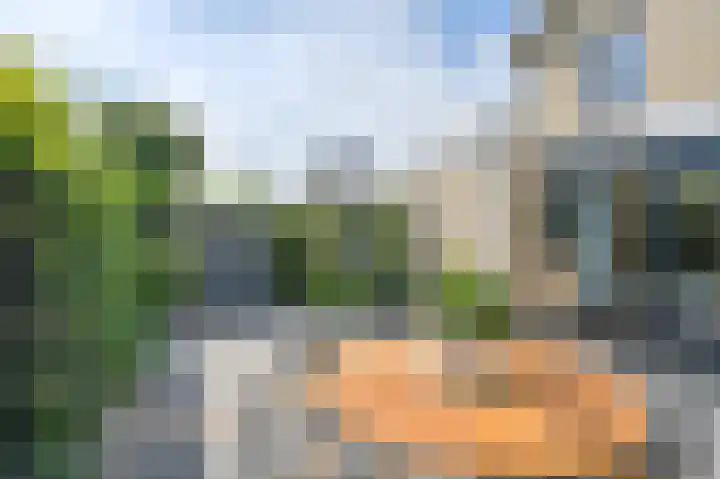 Grijze Snip 7 Emmen thumbnail 70