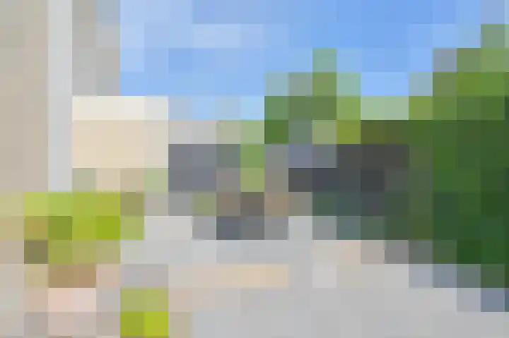 Grijze Snip 7 Emmen thumbnail 72