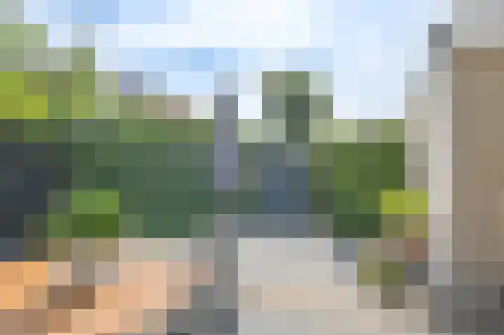 Grijze Snip 7 Emmen thumbnail 73