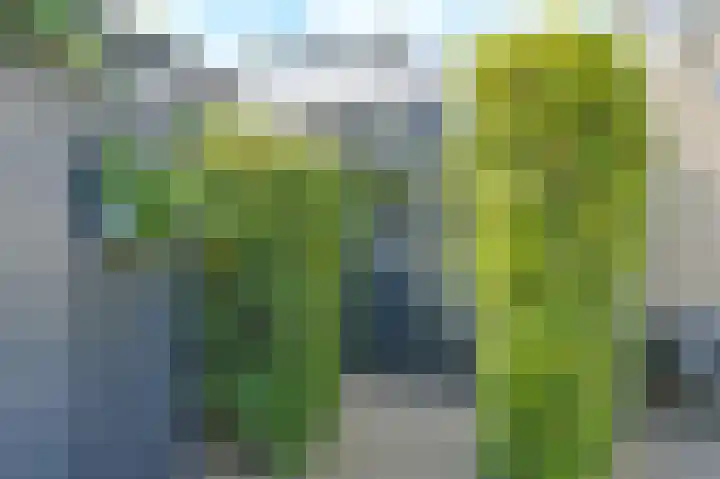 Grijze Snip 7 Emmen thumbnail 74