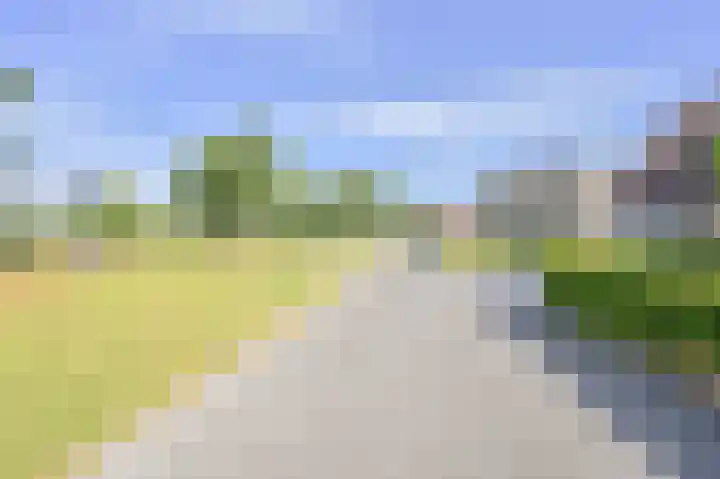 Grijze Snip 7 Emmen thumbnail 75