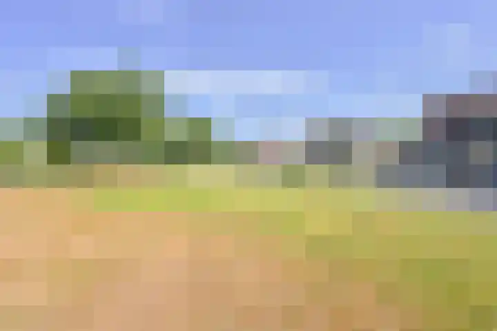 Grijze Snip 7 Emmen thumbnail 76