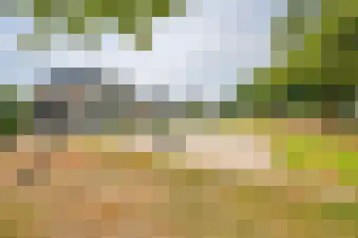 Grijze Snip 7 Emmen thumbnail 79