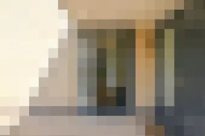 Grijze Snip 7 Emmen thumbnail 8