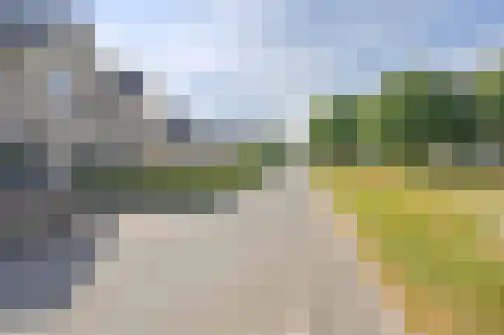 Grijze Snip 7 Emmen thumbnail 80