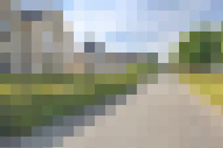 Grijze Snip 7 Emmen thumbnail 81