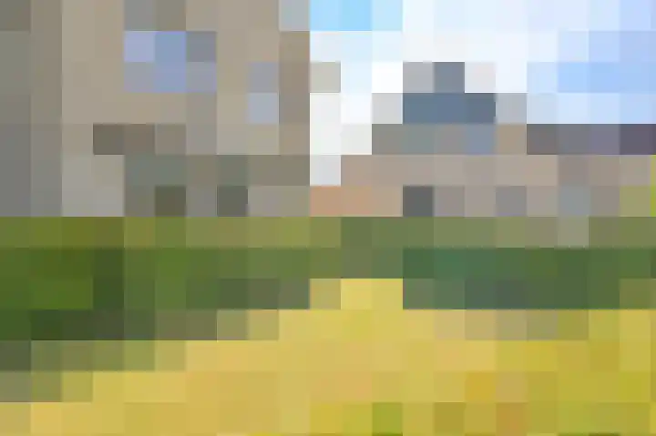 Grijze Snip 7 Emmen thumbnail 82