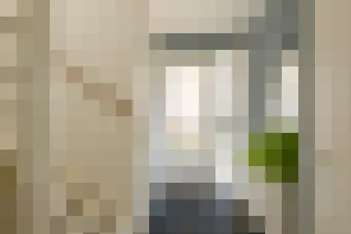 Grijze Snip 7 Emmen thumbnail 9