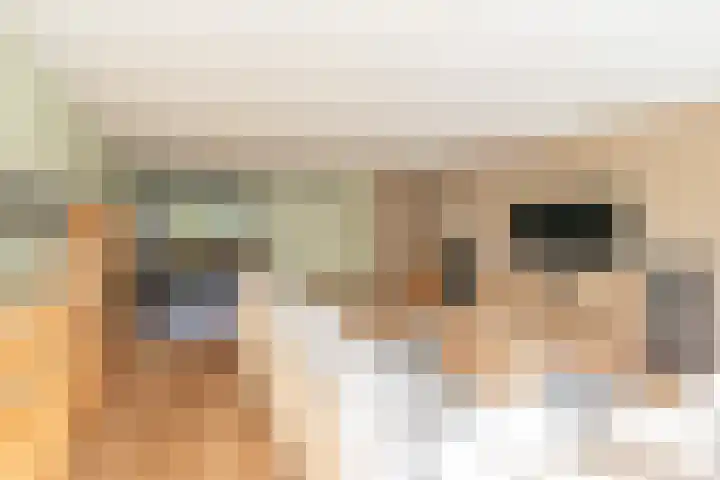 Grijze Walvis 6 Naaldwijk thumbnail 10