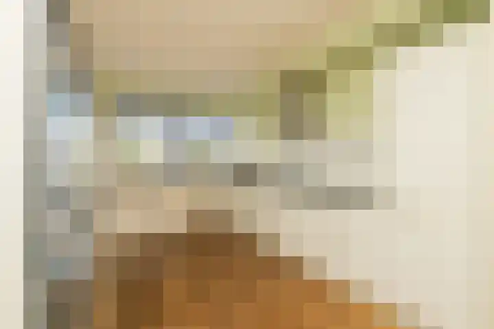 Grijze Walvis 6 Naaldwijk thumbnail 14