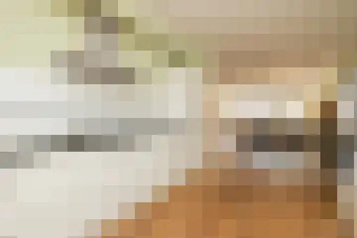 Grijze Walvis 6 Naaldwijk thumbnail 15