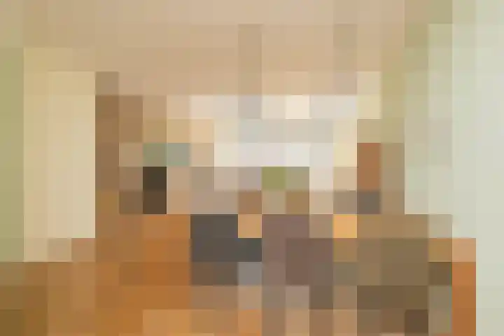 Grijze Walvis 6 Naaldwijk thumbnail 16