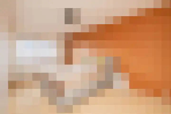 Grijze Walvis 6 Naaldwijk thumbnail 18