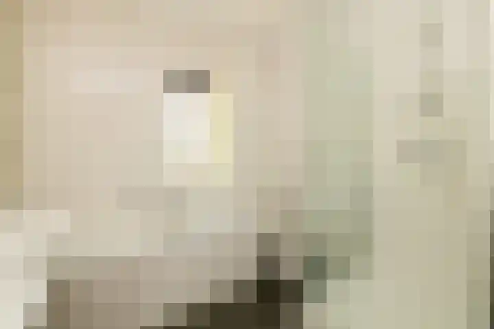 Grijze Walvis 6 Naaldwijk thumbnail 22