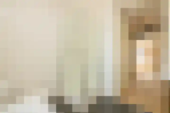Grijze Walvis 6 Naaldwijk thumbnail 23