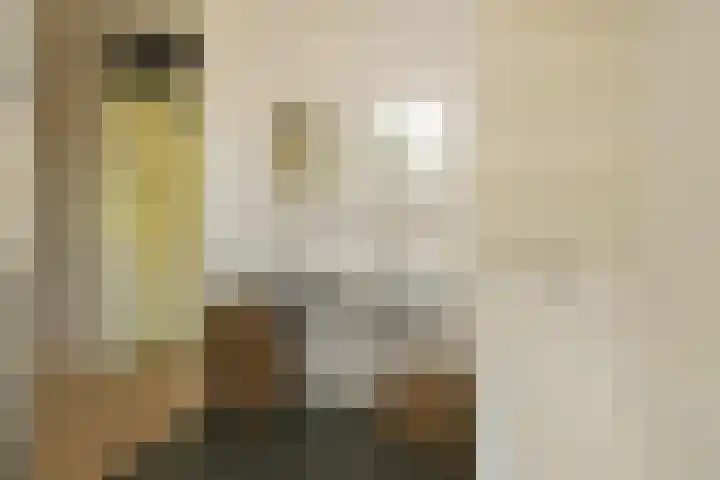 Grijze Walvis 6 Naaldwijk thumbnail 24