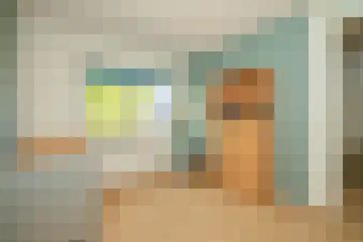 Grijze Walvis 6 Naaldwijk thumbnail 26