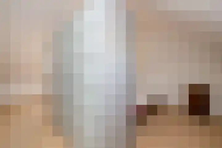 Grijze Walvis 6 Naaldwijk thumbnail 28