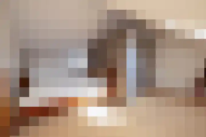 Grijze Walvis 6 Naaldwijk thumbnail 30