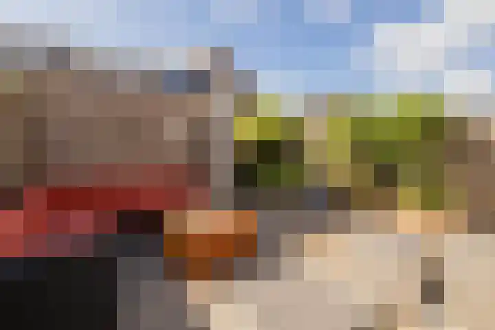 Grijze Walvis 6 Naaldwijk thumbnail 32
