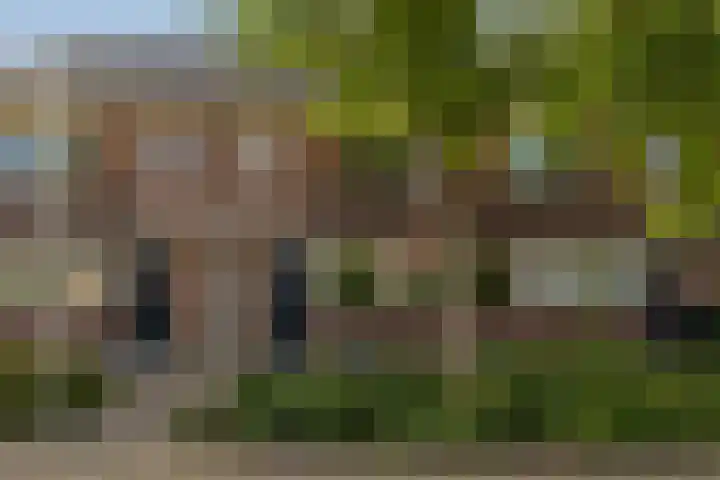 Grijze Walvis 6 Naaldwijk thumbnail 35